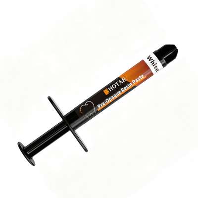Pre-Opaque Resin Paste