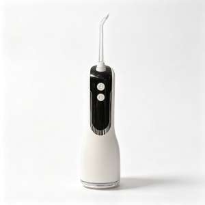 Portable water flosser