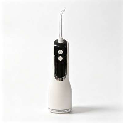 Portable water flosser